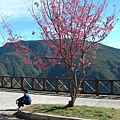 雪山登山口.jpg