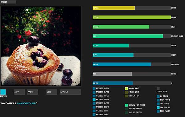 Toycamera Analogcolor-TTV相框2