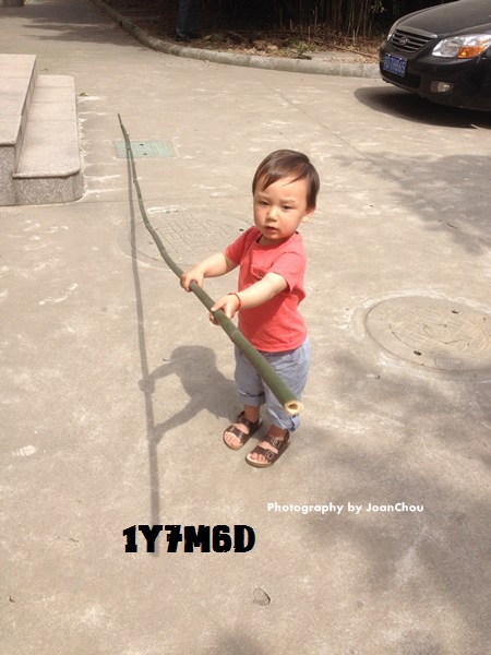 1Y7M6D-7.JPG