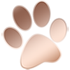 footprint icon-70x70px.png