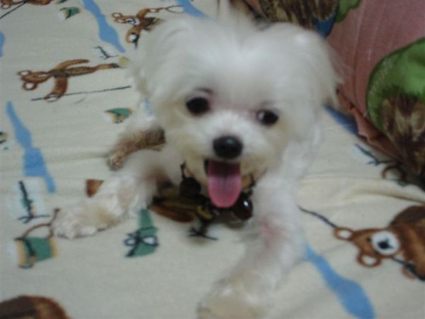 DSC07677.JPG