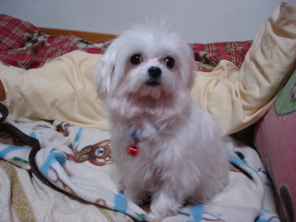 DSC01390.JPG
