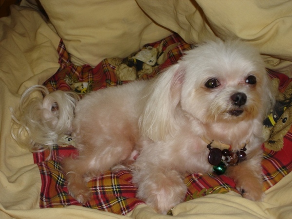 DSC02652.JPG