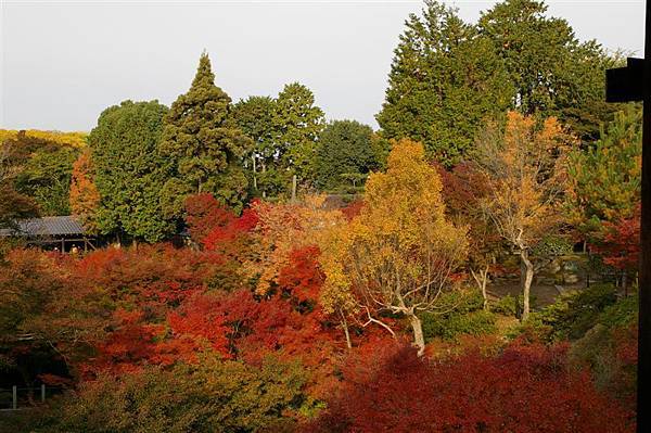 東福寺_通天閣