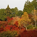 東福寺_通天閣