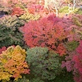 東福寺_通天閣