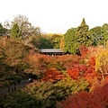 東福寺_通天閣