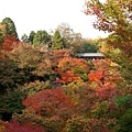 東福寺_通天閣