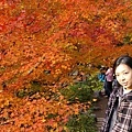 東福寺_通天閣