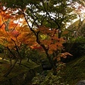 東福寺_通天閣