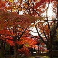 東福寺_通天閣