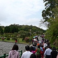 連天大雨後的放晴假期，陽明山上盡是賞花遊客