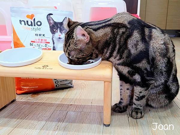 IMG_20220104_5.jpg IMG_20220104_5.jpg