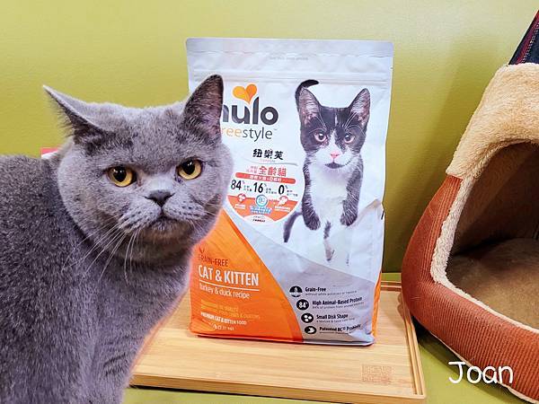 IMG_20220105_8.jpg IMG_20220105_8.jpg