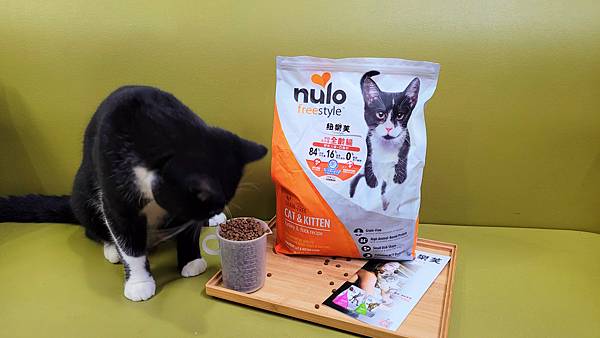 IMG_20220105_17.jpg IMG_20220105_17.jpg