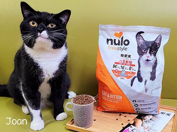 IMG_20220105_18.jpg IMG_20220105_18.jpg