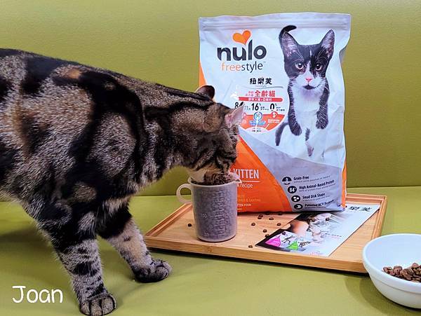 IMG_20220105_22.jpg IMG_20220105_22.jpg