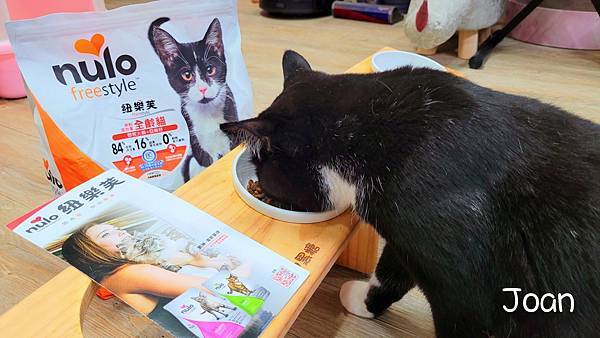 IMG_20220105_5.jpg IMG_20220105_5.jpg