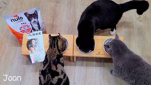 IMG_20220105_2.jpg IMG_20220105_2.jpg