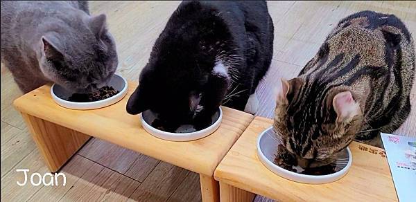 IMG_20220105_1.jpg IMG_20220105_1.jpg