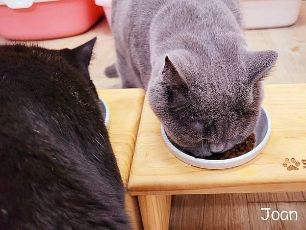 20220203_175347.jpg 20220203_175347.jpg