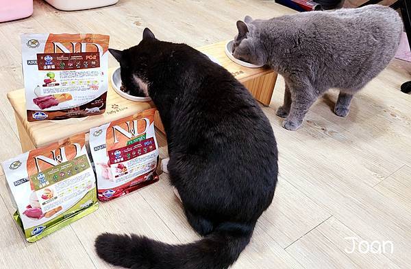 20220203_175518.jpg 20220203_175518.jpg