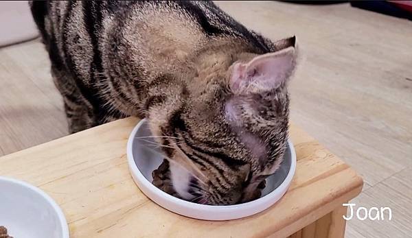 Screenshot_20220203-223507_Video Editor.jpg Screenshot_20220203-223507_Video Editor.jpg