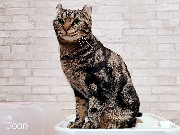 20220204_215122.jpg 20220204_215122.jpg