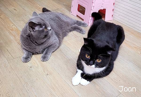 20220204_214847.jpg 20220204_214847.jpg