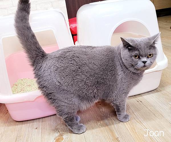 20220204_215134.jpg 20220204_215134.jpg