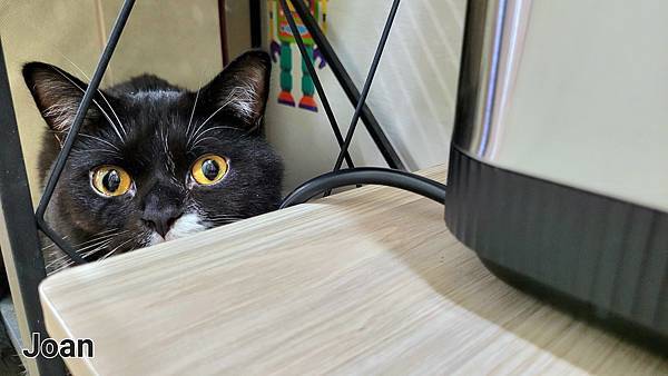 20221112_190208.jpg SANSUI山水 智能熱烘除臭4L廚餘機