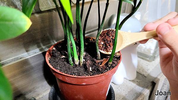 20221112_222857.jpg SANSUI山水 智能熱烘除臭4L廚餘機