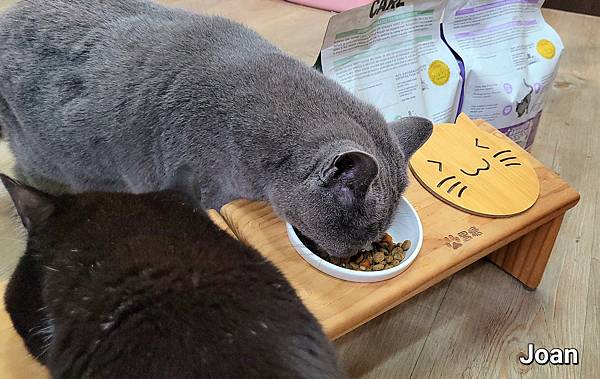 紐崔斯CARE+飼料 (22).jpg 紐崔斯CARE+飼料 (22).jpg