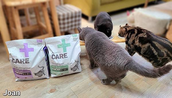 紐崔斯CARE+飼料 (33).jpg 紐崔斯CARE+飼料 (33).jpg
