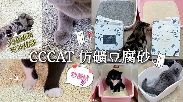 CCCAT 仿礦豆腐砂- (8).jpg