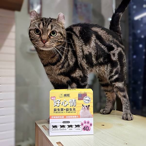 威旺 WeWant 貓用好心情益生菌 (8).jpg 威旺 WeWant 貓用好心情益生菌 (8).jpg