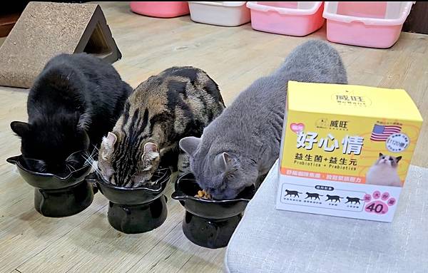 威旺 WeWant 貓用好心情益生菌 (11).jpg 威旺 WeWant 貓用好心情益生菌 (11).jpg