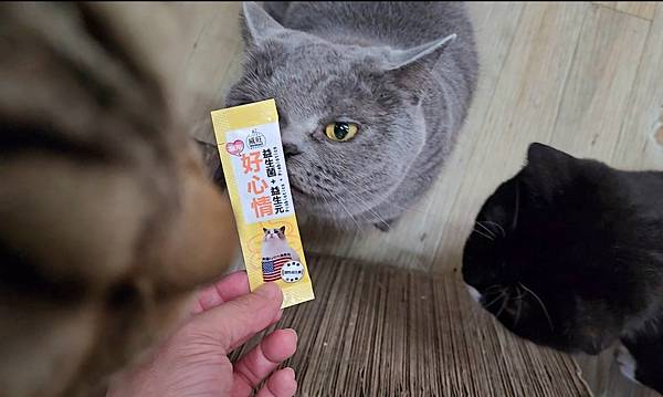 威旺 WeWant 貓用好心情益生菌 (14).jpg 威旺 WeWant 貓用好心情益生菌 (14).jpg