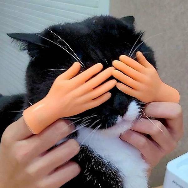 威旺WeWant 貓用 好心情益生菌.jpg 威旺WeWant 貓用 好心情益生菌.jpg