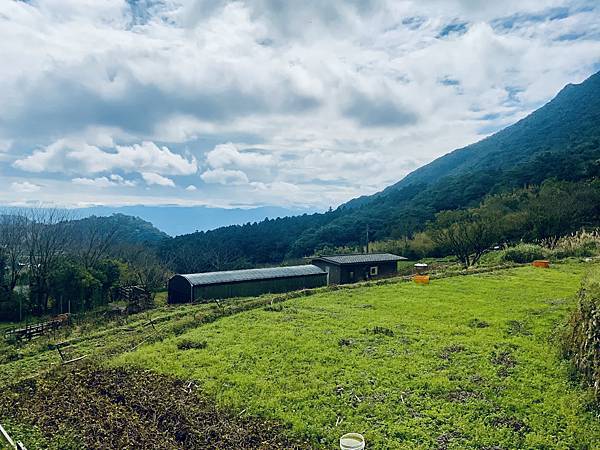 陽明山的青菜園和小油坑