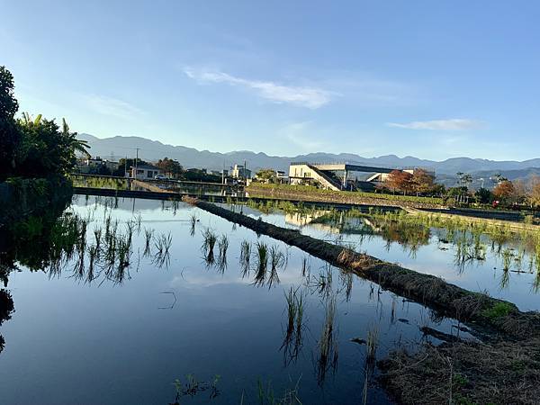 宜蘭涵天大洲會館到安農溪落羽松