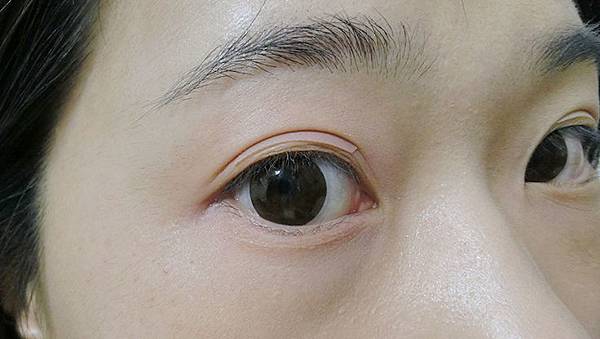 pinkskull (19).jpg pinkskull (19).jpg