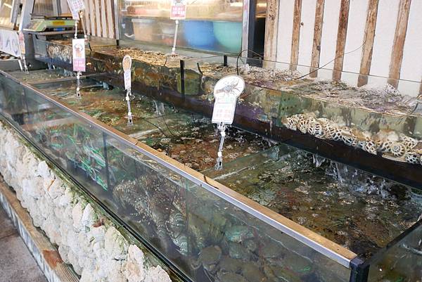 1000480.jpg 1000480.jpg