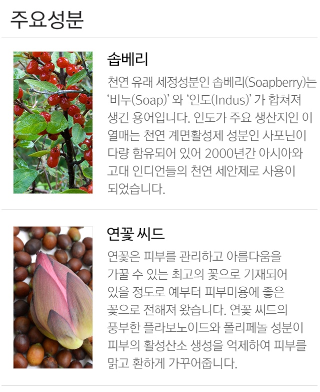 Missha_Micro_Bubble_Foam_Lotus_Seed_03__-crop1.jpg