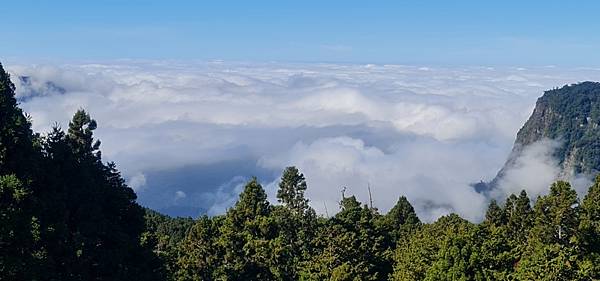 [嘉義] 阿里山賓館 - 森林中雲海中的住宿