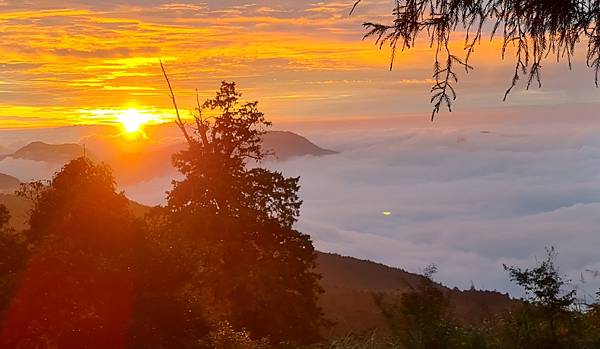 [嘉義]阿里山夕陽, 日出一次讓你看完