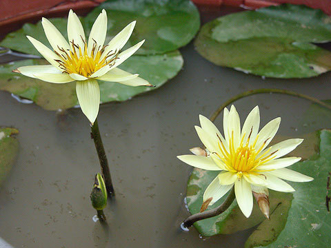 DSCN1659.jpg