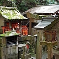 稻荷神社_鳥居步道