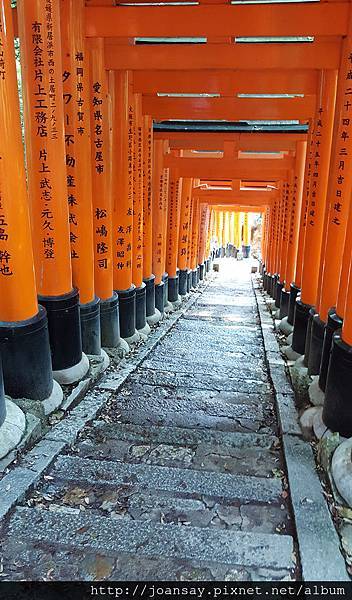 稻荷神社_鳥居步道