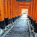 稻荷神社_鳥居步道